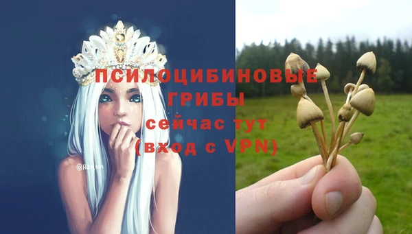 метадон Алзамай