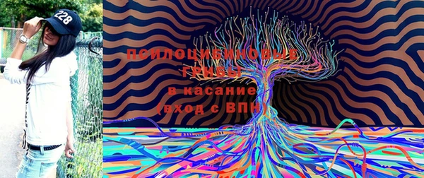 каннабис Рославль