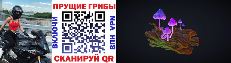 Галлюциногенные грибы Magic Shrooms  купить  цена  Нытва 
